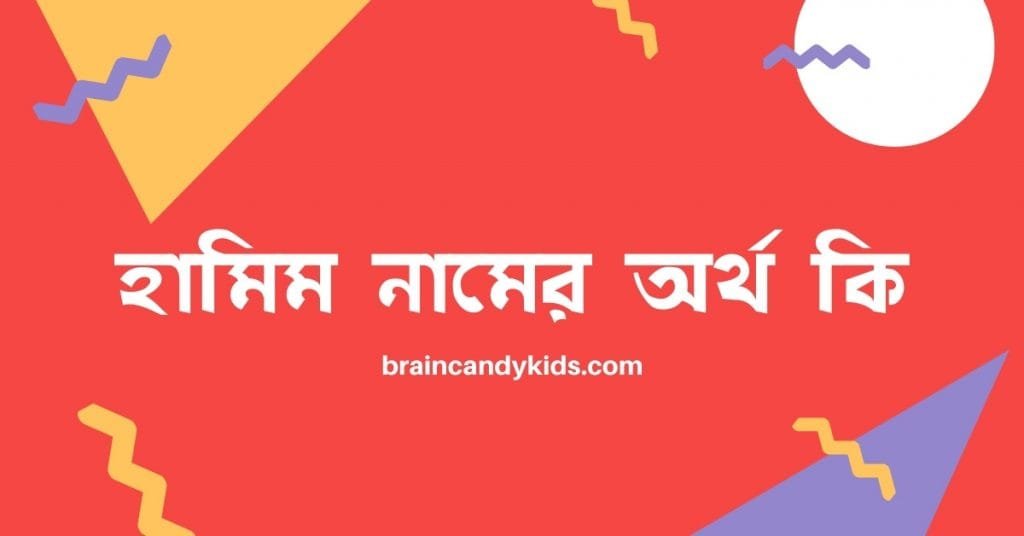 হামিম নামের অর্থ কি - রাখার আগে যে কথাটি জানা জরুরী - ব্রেইন ক্যান্ডি হামিম নামের অর্থ কি