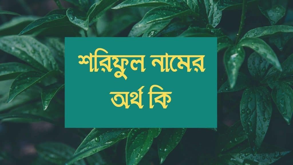 শরিফুল নামের অর্থ কি - রাখার আগে যে কথাটি জানা জরুরী - ব্রেইন ক্যান্ডি শরিফুল নামের অর্থ কি