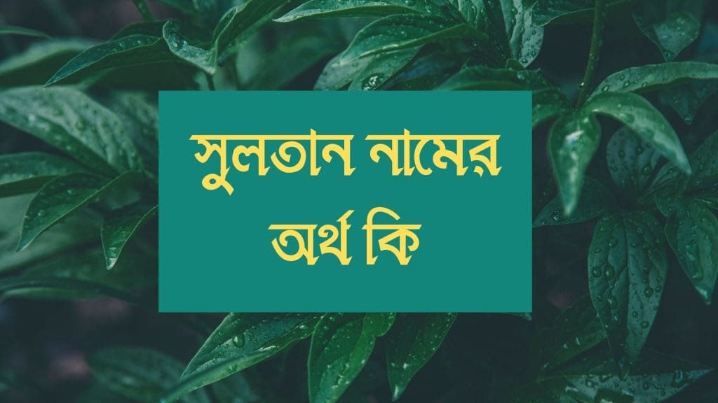 সুলতান নামের অর্থ কি - রাখার আগে যে কথাটি জানা জরুরী - ব্রেইন ক্যান্ডি সুলতান নামের অর্থ কি