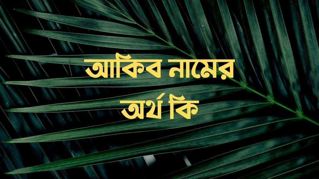 আকিব নামের অর্থ কি – আরবি ও ইসলামিক অর্থ সহ - ব্রেইন ক্যান্ডি আকিব নামের অর্থ কি