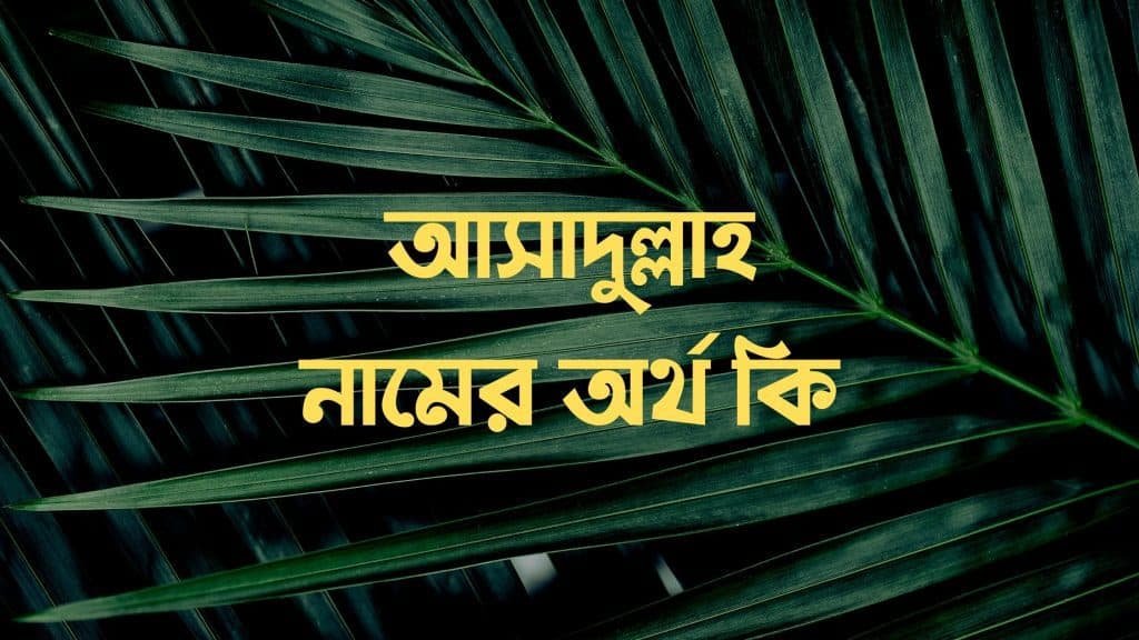 আসাদুল্লাহ নামের অর্থ কি – ইসলামিক ও আরবি অর্থ জানুন - ব্রেইন ক্যান্ডি আসাদুল্লাহ নামের অর্থ কি