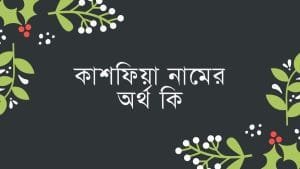 কাশফিয়া নামের অর্থ কি | ইসলাম কি বলে? (বিস্তারিত) - ব্রেইন ক্যান্ডি কাশফিয়া নামের অর্থ কি | ইসলাম কি বলে? (বিস্তারিত) - ব্রেইন ক্যান্ডি