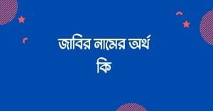 জাবির নামের অর্থ কি | ইসলাম কি বলে? (বিস্তারিত) - ব্রেইন ক্যান্ডি জাবির নামের অর্থ কি | ইসলাম কি বলে? (বিস্তারিত) - ব্রেইন ক্যান্ডি