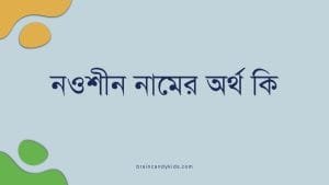নওশীন নামের অর্থ কি | ইসলাম কি বলে? (বিস্তারিত) - ব্রেইন ক্যান্ডি নওশীন নামের অর্থ কি | ইসলাম কি বলে? (বিস্তারিত) - ব্রেইন ক্যান্ডি