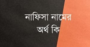 নাফিসা নামের অর্থ কি | ইসলাম কি বলে? (বিস্তারিত) - ব্রেইন ক্যান্ডি নাফিসা নামের অর্থ কি | ইসলাম কি বলে? (বিস্তারিত) - ব্রেইন ক্যান্ডি