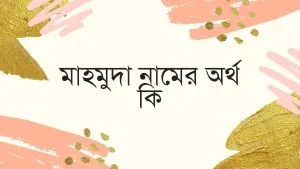 মাহমুদা নামের অর্থ কি | ইসলাম কি বলে? (বিস্তারিত) - ব্রেইন ক্যান্ডি মাহমুদা নামের অর্থ কি | ইসলাম কি বলে? (বিস্তারিত) - ব্রেইন ক্যান্ডি