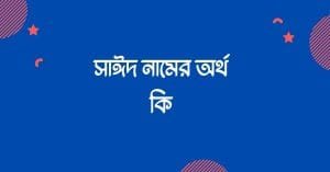 সাঈদ নামের অর্থ কি | ইসলাম কি বলে? (বিস্তারিত) - ব্রেইন ক্যান্ডি সাঈদ নামের অর্থ কি | ইসলাম কি বলে? (বিস্তারিত) - ব্রেইন ক্যান্ডি