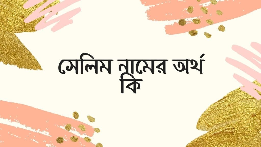 সেলিম নামের অর্থ কি | ইসলাম কি বলে? (বিস্তারিত) - ব্রেইন ক্যান্ডি সেলিম নামের অর্থ কি | ইসলাম কি বলে? (বিস্তারিত) - ব্রেইন ক্যান্ডি