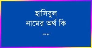 হাসিবুল নামের অর্থ কি – রাখার আগে যে কথাটি জানা জরুরী - ব্রেইন ক্যান্ডি হাসিবুল নামের অর্থ কি – রাখার আগে যে কথাটি জানা জরুরী - ব্রেইন ক্যান্ডি