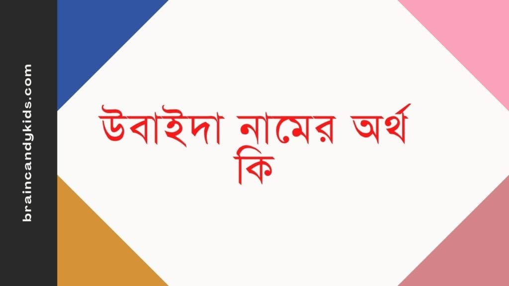 উবাইদা নামের অর্থ কি | ইসলাম কি বলে? (বিস্তারিত) - ব্রেইন ক্যান্ডি উবাইদা নামের অর্থ কি - ইসলামিক ও আরবি অর্থ জানুন