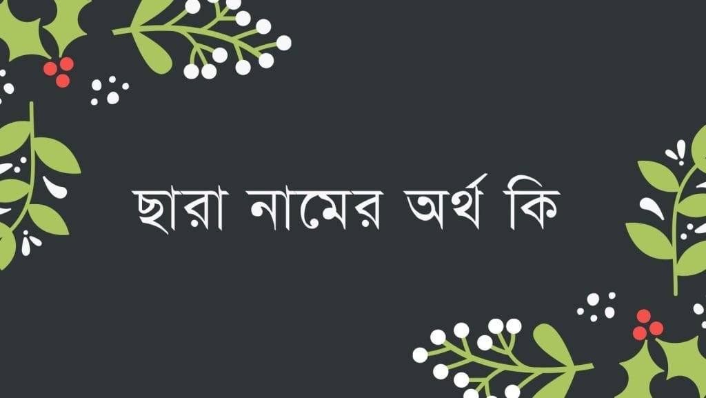 ছারা নামের অর্থ কি - ব্রেইন ক্যান্ডি ছারা নামের অর্থ কি - ইসলামিক ও আরবি অর্থ জানুন