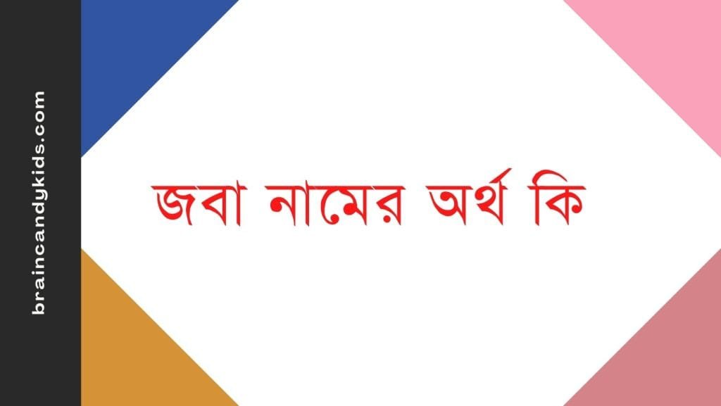 জবা নামের অর্থ কি - ব্রেইন ক্যান্ডি জবা নামের অর্থ কি - ইসলামিক ও আরবি অর্থ জানুন