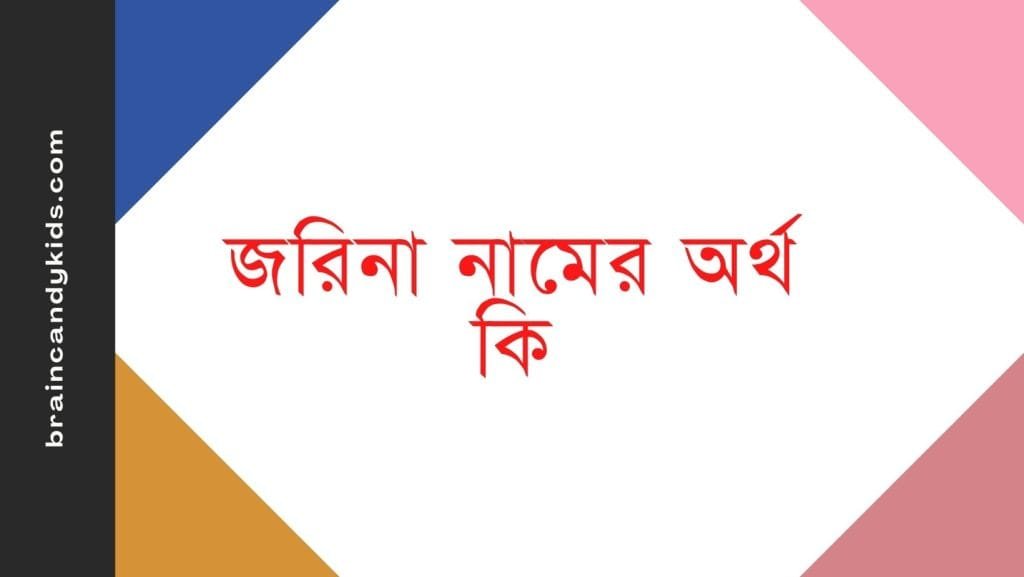 জরিনা নামের অর্থ কি - ব্রেইন ক্যান্ডি জরিনা নামের অর্থ কি - ইসলামিক ও আরবি অর্থ জানুন