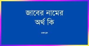 জাবের নামের অর্থ কি - রাখার আগে যে কথাটি জানা জরুরী - ব্রেইন ক্যান্ডি জাবের নামের অর্থ কি - রাখার আগে যে কথাটি জানা জরুরী - ব্রেইন ক্যান্ডি