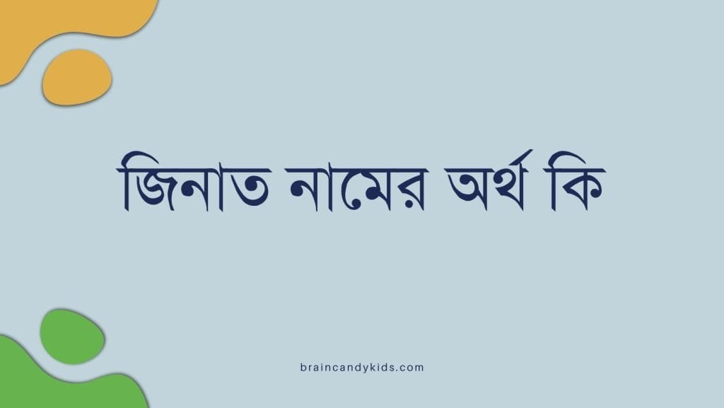 জিনাত নামের অর্থ কি | নামটির সাথে কি ইসলামের সম্পর্ক আছে? - ব্রেইন ক্যান্ডি জিনাত নামের অর্থ কি - ইসলামিক ও আরবি অর্থ জানুন