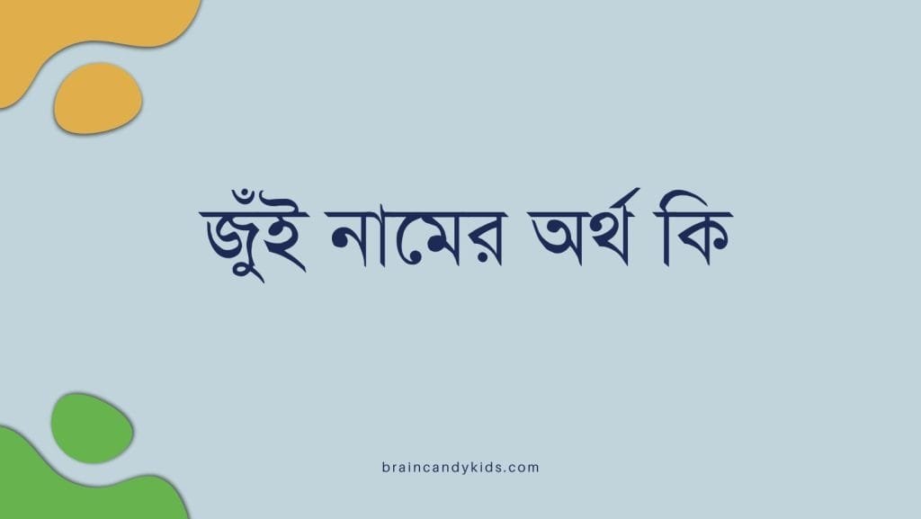 জুঁই নামের অর্থ কি - ব্রেইন ক্যান্ডি জুঁই নামের অর্থ কি - ইসলামিক ও আরবি অর্থ জানুন