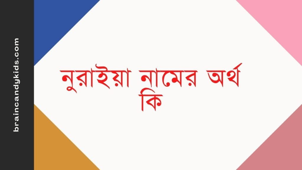 নুরাইয়া নামের অর্থ কি | নামটির সাথে কি ইসলামের সম্পর্ক আছে? - ব্রেইন ক্যান্ডি নুরাইয়া নামের অর্থ কি - ইসলামিক ও আরবি অর্থ জানুন