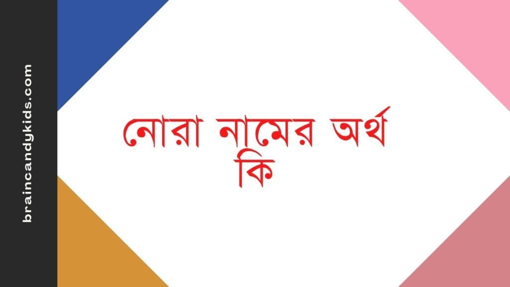নোরা নামের অর্থ কি - ব্রেইন ক্যান্ডি নোরা নামের অর্থ কি - ইসলামিক ও আরবি অর্থ জানুন
