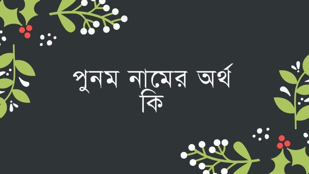 পুনম নামের অর্থ কি - ব্রেইন ক্যান্ডি পুনম নামের অর্থ কি - ইসলামিক ও আরবি অর্থ জানুন