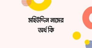 মহিউদ্দিন নামের অর্থ কি - রাখার আগে যে কথাটি জানা জরুরী - ব্রেইন ক্যান্ডি মহিউদ্দিন নামের অর্থ কি - রাখার আগে যে কথাটি জানা জরুরী - ব্রেইন ক্যান্ডি