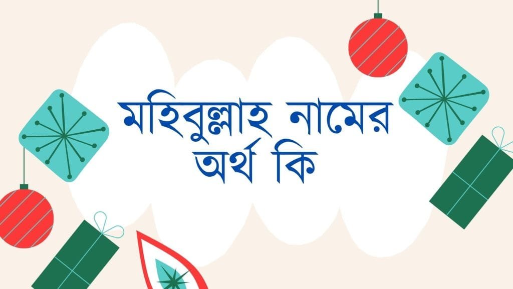 মহিবুল্লাহ নামের অর্থ কি - ব্রেইন ক্যান্ডি মহিবুল্লাহ নামের অর্থ কি - ইসলামিক ও আরবি অর্থ জানুন