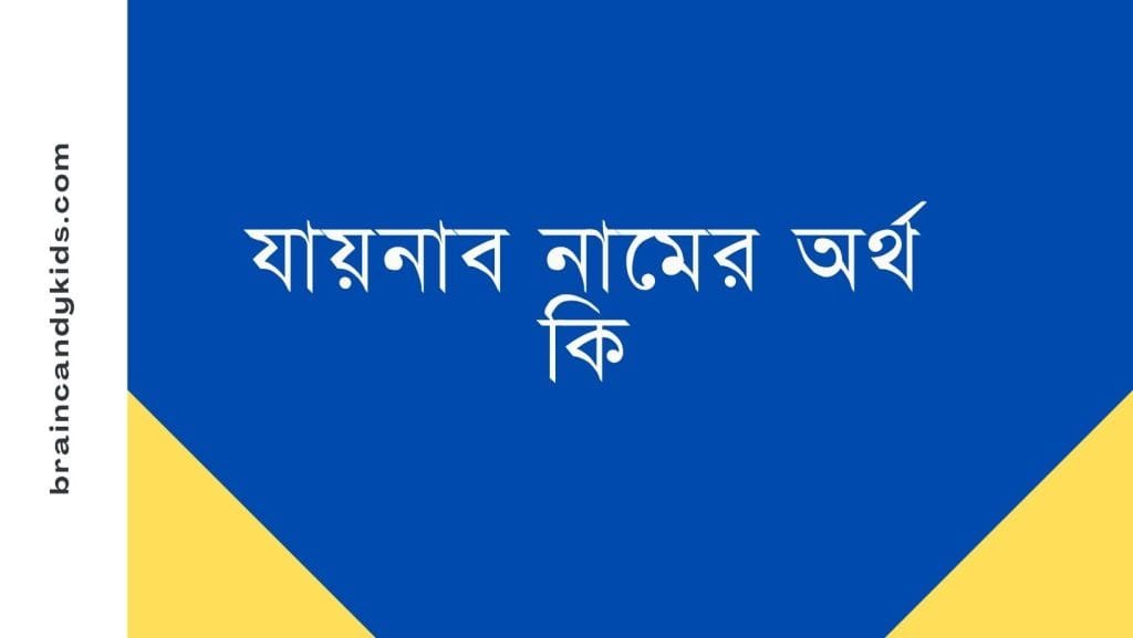 যায়নাব নামের অর্থ কি - ব্রেইন ক্যান্ডি যায়নাব নামের অর্থ কি - ইসলামিক ও আরবি অর্থ জানুন