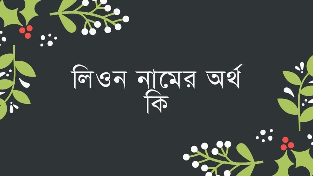 লিওন নামের অর্থ কি - ব্রেইন ক্যান্ডি লিওন নামের অর্থ কি - ইসলামিক ও আরবি অর্থ জানুন