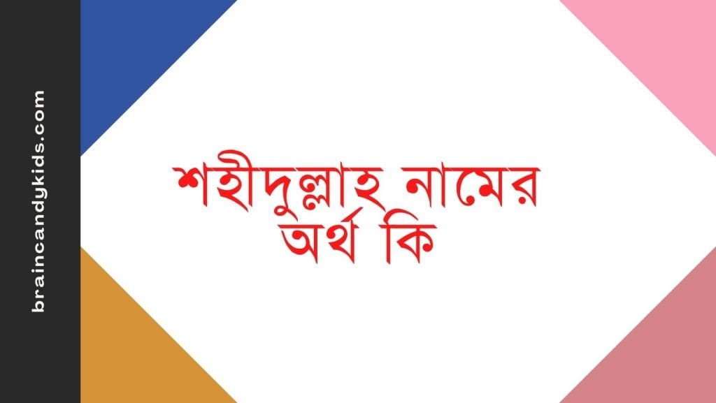 শহীদুল্লাহ নামের অর্থ কি - ব্রেইন ক্যান্ডি শহীদুল্লাহ নামের অর্থ কি - ইসলামিক ও আরবি অর্থ জানুন