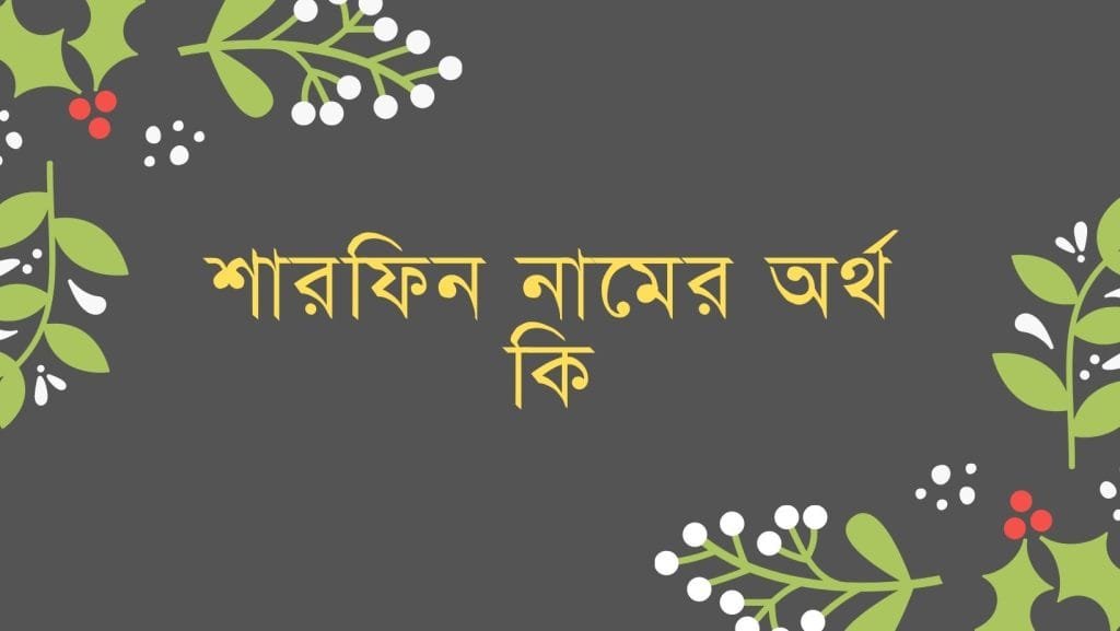 শারফিন নামের অর্থ কি - ব্রেইন ক্যান্ডি শারফিন নামের অর্থ কি - ইসলামিক ও আরবি অর্থ জানুন