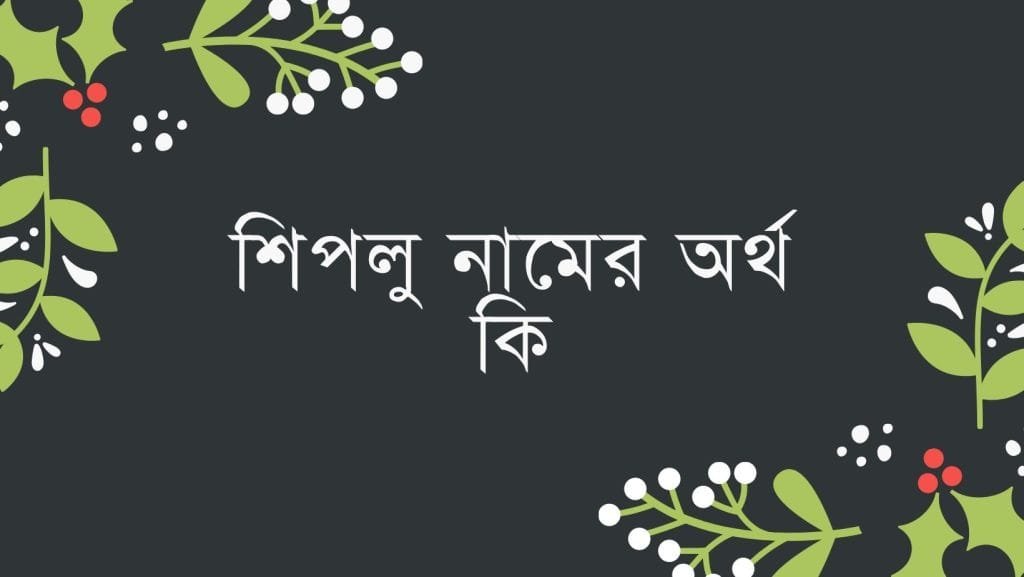 শিপলু নামের অর্থ কি - ব্রেইন ক্যান্ডি শিপলু নামের অর্থ কি - ইসলামিক ও আরবি অর্থ জানুন