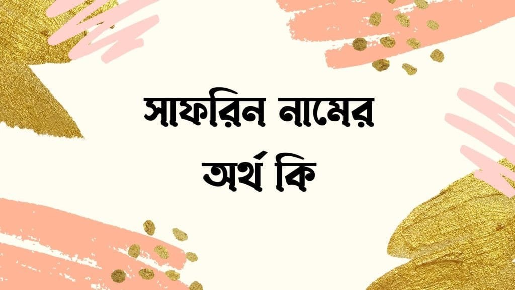 সাফরিন নামের অর্থ কি | নামটির সাথে কি ইসলামের সম্পর্ক আছে? - ব্রেইন ক্যান্ডি সাফরিন নামের অর্থ কি - ইসলামিক ও আরবি অর্থ জানুন