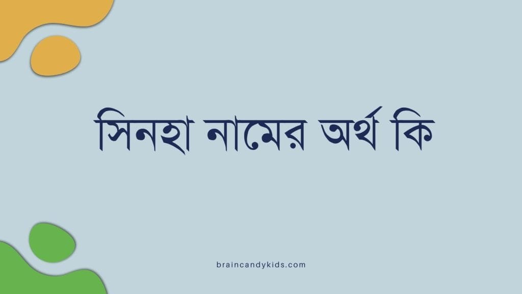 সিনহা নামের অর্থ কি - ব্রেইন ক্যান্ডি সিনহা নামের অর্থ কি - ইসলামিক ও আরবি অর্থ জানুন